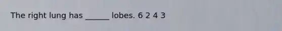 The right lung has ______ lobes. 6 2 4 3