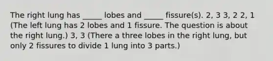 The right lung has _____ lobes and _____ fissure(s). 2, 3 3, 2 2, 1 (The left lung has 2 lobes and 1 fissure. The question is about the right lung.) 3, 3 (There a three lobes in the right lung, but only 2 fissures to divide 1 lung into 3 parts.)