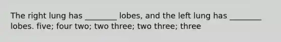 The right lung has ________ lobes, and the left lung has ________ lobes. five; four two; two three; two three; three