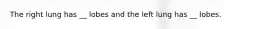 The right lung has __ lobes and the left lung has __ lobes.