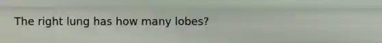 The right lung has how many lobes?