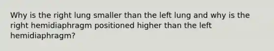 Why is the right lung smaller than the left lung and why is the right hemidiaphragm positioned higher than the left hemidiaphragm?