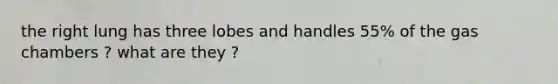 the right lung has three lobes and handles 55% of the gas chambers ? what are they ?