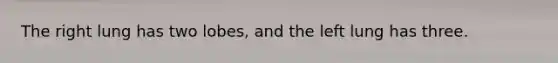 The right lung has two lobes, and the left lung has three.