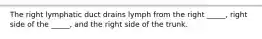 The right lymphatic duct drains lymph from the right _____, right side of the _____, and the right side of the trunk.