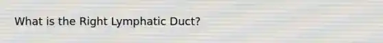 What is the Right Lymphatic Duct?