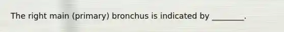 The right main (primary) bronchus is indicated by ________.