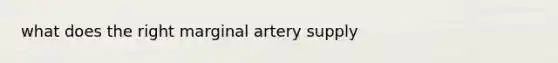 what does the right marginal artery supply