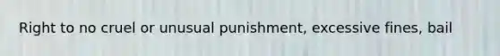 Right to no cruel or unusual punishment, excessive fines, bail