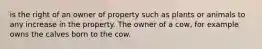 is the right of an owner of property such as plants or animals to any increase in the property. The owner of a cow, for example owns the calves born to the cow.