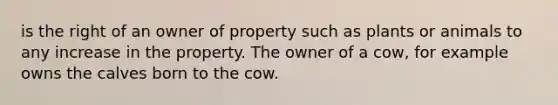 is the right of an owner of property such as plants or animals to any increase in the property. The owner of a cow, for example owns the calves born to the cow.