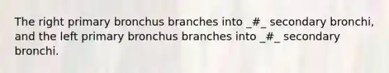 The right primary bronchus branches into _#_ secondary bronchi, and the left primary bronchus branches into _#_ secondary bronchi.