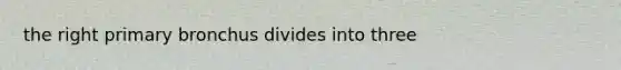 the right primary bronchus divides into three