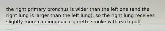 the right primary bronchus is wider than the left one (and the right lung is larger than the left lung), so the right lung receives slightly more carcinogenic cigarette smoke with each puff.