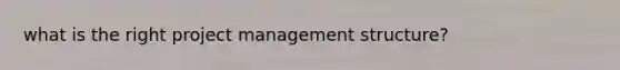 what is the right project management structure?