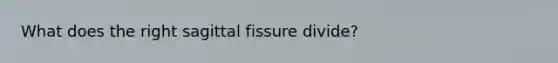 What does the right sagittal fissure divide?