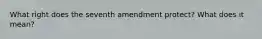 What right does the seventh amendment protect? What does it mean?