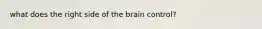 what does the right side of the brain control?