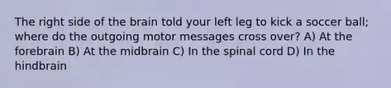 The right side of the brain told your left leg to kick a soccer ball; where do the outgoing motor messages cross over? A) At the forebrain B) At the midbrain C) In the spinal cord D) In the hindbrain