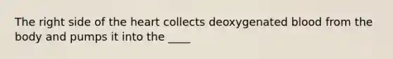 The right side of the heart collects deoxygenated blood from the body and pumps it into the ____