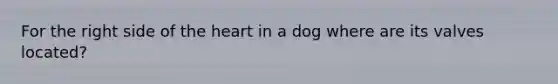 For the right side of the heart in a dog where are its valves located?