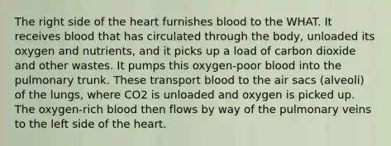 The right side of <a href='https://www.questionai.com/knowledge/kya8ocqc6o-the-heart' class='anchor-knowledge'>the heart</a> furnishes blood to the WHAT. It receives blood that has circulated through the body, unloaded its oxygen and nutrients, and it picks up a load of carbon dioxide and other wastes. It pumps this oxygen-poor blood into the pulmonary trunk. These transport blood to the air sacs (alveoli) of the lungs, where CO2 is unloaded and oxygen is picked up. The oxygen-rich blood then flows by way of the pulmonary veins to the left side of the heart.