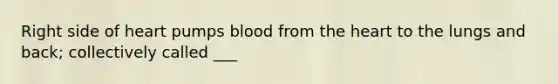 Right side of heart pumps blood from the heart to the lungs and back; collectively called ___