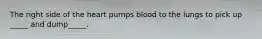 The right side of the heart pumps blood to the lungs to pick up _____ and dump_____.