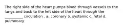 The right side of the heart pumps blood through vessels to the lungs and back to the left side of the heart through the __________ circulation . a. coronary b. systemic c. fetal d. pulmonary