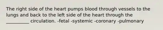 The right side of the heart pumps blood through vessels to the lungs and back to the left side of the heart through the __________ circulation. -fetal -systemic -coronary -pulmonary