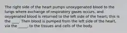 The right side of the heart pumps unoxygenated blood to the lungs where exchange of respiratory gases occurs, and oxygenated blood is returned to the left side of the heart; this is the ____. Then blood is pumped from the left side of the heart, via the _____, to the tissues and cells of the body.