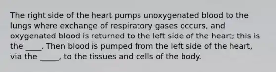 The right side of the heart pumps unoxygenated blood to the lungs where exchange of respiratory gases occurs, and oxygenated blood is returned to the left side of the heart; this is the ____. Then blood is pumped from the left side of the heart, via the _____, to the tissues and cells of the body.