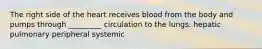 The right side of the heart receives blood from the body and pumps through _________ circulation to the lungs. hepatic pulmonary peripheral systemic