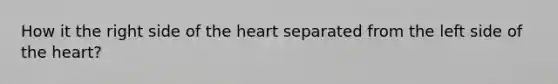 How it the right side of <a href='https://www.questionai.com/knowledge/kya8ocqc6o-the-heart' class='anchor-knowledge'>the heart</a> separated from the left side of the heart?