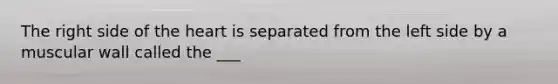The right side of <a href='https://www.questionai.com/knowledge/kya8ocqc6o-the-heart' class='anchor-knowledge'>the heart</a> is separated from the left side by a muscular wall called the ___