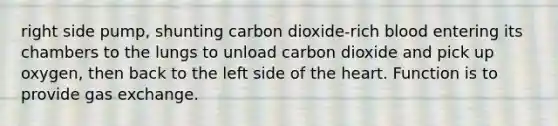 right side pump, shunting carbon dioxide-rich blood entering its chambers to the lungs to unload carbon dioxide and pick up oxygen, then back to the left side of the heart. Function is to provide gas exchange.