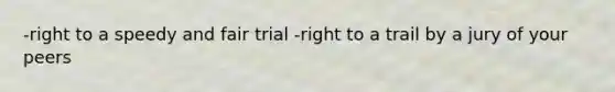 -right to a speedy and fair trial -right to a trail by a jury of your peers