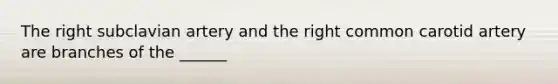 The right subclavian artery and the right common carotid artery are branches of the ______