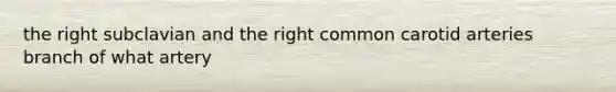 the right subclavian and the right common carotid arteries branch of what artery