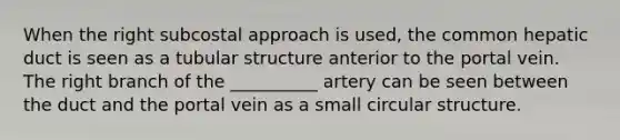 When the right subcostal approach is used, the common hepatic duct is seen as a tubular structure anterior to the portal vein. The right branch of the __________ artery can be seen between the duct and the portal vein as a small circular structure.