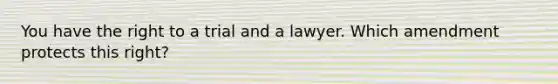 You have the right to a trial and a lawyer. Which amendment protects this right?