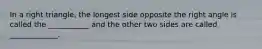 In a right triangle, the longest side opposite the right angle is called the ___________ and the other two sides are called _____________.