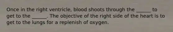 Once in the right ventricle, blood shoots through the ______ to get to the ______. The objective of the right side of the heart is to get to the lungs for a replenish of oxygen.