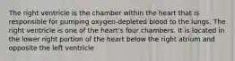 The right ventricle is the chamber within the heart that is responsible for pumping oxygen-depleted blood to the lungs. The right ventricle is one of the heart's four chambers. It is located in the lower right portion of the heart below the right atrium and opposite the left ventricle