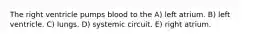 The right ventricle pumps blood to the A) left atrium. B) left ventricle. C) lungs. D) systemic circuit. E) right atrium.