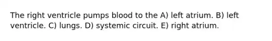 The right ventricle pumps blood to the A) left atrium. B) left ventricle. C) lungs. D) systemic circuit. E) right atrium.