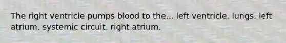 The right ventricle pumps blood to the... left ventricle. lungs. left atrium. systemic circuit. right atrium.