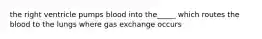 the right ventricle pumps blood into the_____ which routes the blood to the lungs where gas exchange occurs