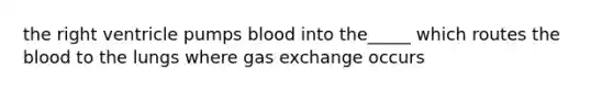the right ventricle pumps blood into the_____ which routes the blood to the lungs where gas exchange occurs