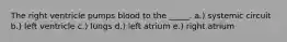 The right ventricle pumps blood to the _____. a.) systemic circuit b.) left ventricle c.) lungs d.) left atrium e.) right atrium